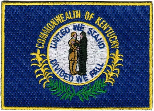Miniatura 11 de Parche bordado de la bandera del estado de Hawaii Kanaka Maoli para planchar Kamehameha hawaiano