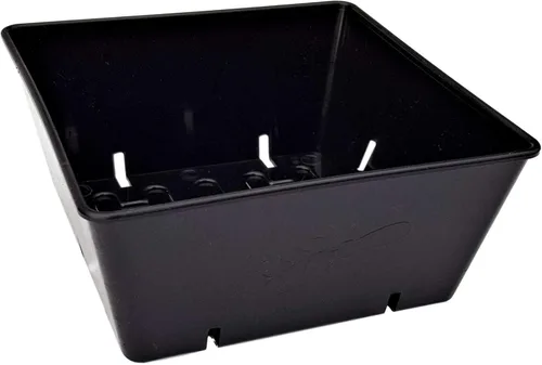 Bootstrap Farmer Paquete de 40 bandejas de cultivo 5 x 5 en color negro, insertos extra fuertes para microverdes y inicio de semillas, plástico