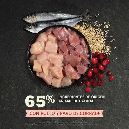 Miniatura 4 de ACANA Alimento seco para gatos de interior Entrada de pollo, pavo, arenque entero y conejo, bolsa de 4 libras