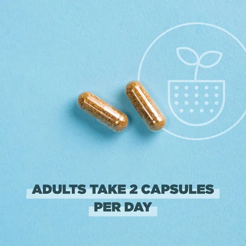 Miniatura 4 de Ancient Nutrition Probióticos regenerativos orgánicos certificados, probióticos extra fuertes, para una digestión saludable y apoyo a la función