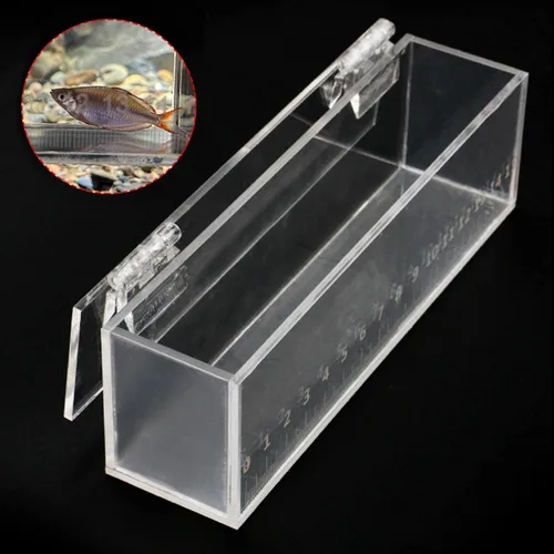 Miniatura 5 de MagiDeal Caja de visualización de peces de pesca de acrílico con tapa, mini acuario al aire libre e interior, pequeña, portátil, caja segura