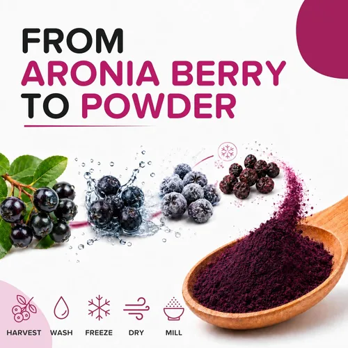 Miniatura 7 de Polvo de bayas de Aronia natural, superalimento de chokeberry negro, alto en antocianinas y polifenoles, apoya el sistema inmunológico