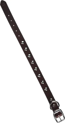 Miniatura 7 de Leather Brothers 12LS-BK12 - Collar de perro de cuero Latigo con tachuelas, tamaño pequeño, color negro