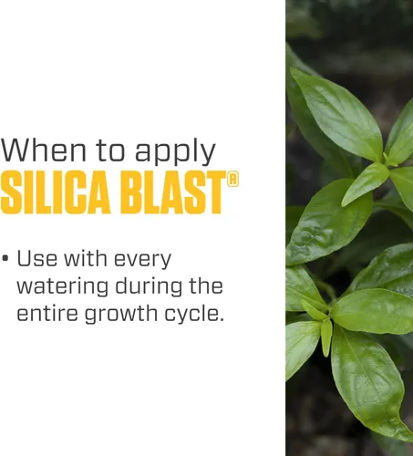 Miniatura 5 de Botanicare SILICA BLAST suplemento de planta fórmula 0-0-0.5, 1 galón, Sencillo