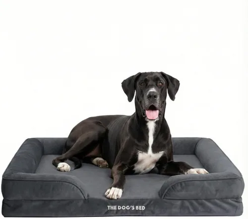 Miniatura 16 de The Dog's Bed - Cama para perros de espuma con soporte para perros XXL, Oxford gris, cama para perro lavable con forro impermeable extraíble, base