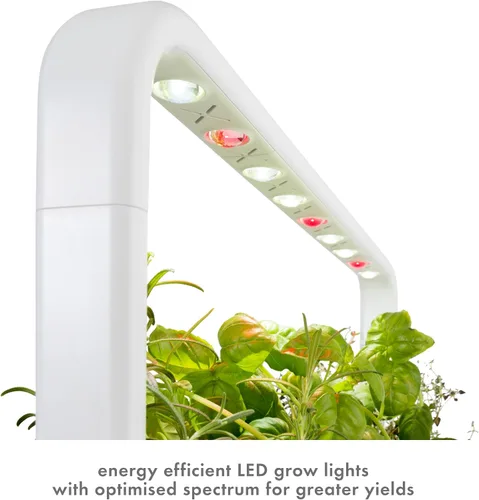 Miniatura 4 de Click and Grow Smart Garden 9 - Jardín para interiores (incluye 3 macetas de mini tomates, 3 de albahaca y 3 de lechuga verde), color gris