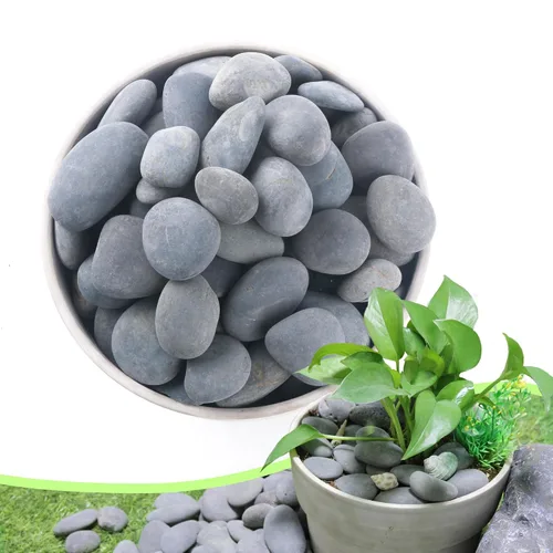 Miniatura 12 de Piedras de río de 2.4 libras para plantas y suculentas, paisajismo decorativo al aire libre y rocas de jardín de acuarios