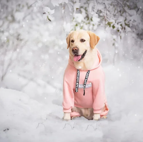 Miniatura 4 de Perro con capucha, abrigo de invierno para perros grandes y medianos, sin botones, de 9 patas, abrigo cálido con capucha, forro polar con capucha
