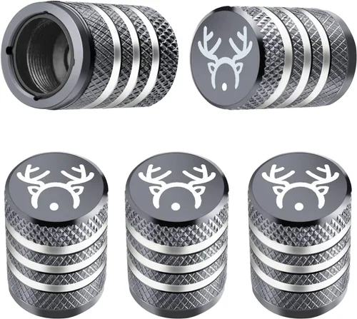 Miniatura 40 de Cubierta de tapón de válvula para neumático Paquete de 5 tapas de aire de metal, nitrógeno N2, forro de plástico, resiste la corrosión, contra