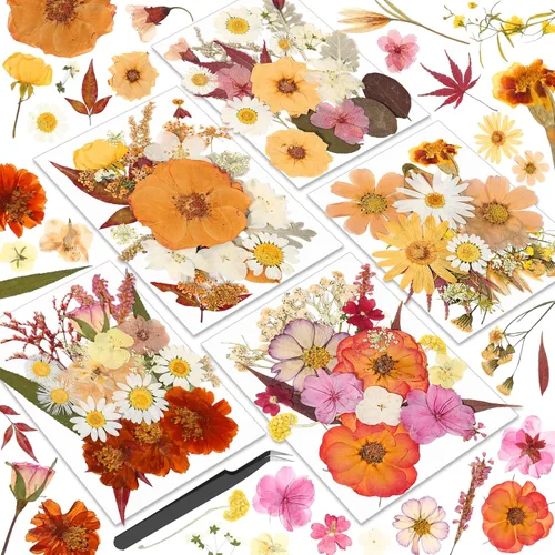 Flores secas prensadas para resina, flores prensadas reales, hojas secas, kit de hierbas naturales a granel para álbumes de recortes, manualidades,