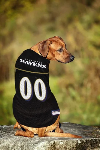 Miniatura 8 de Camiseta NFL BALTIMORE RAVENS para perro, talla XXG