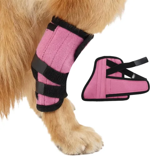 Miniatura 10 de Kuoser Soporte de pierna de perro pequeño, envoltura de compresión para patas delanteras y traseras, rodillera ajustable para perro, soporte