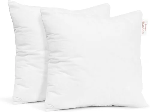 Empyrean Bedding Almohada decorativa de 16 x 16 pulgadas, mezcla de algodón, para interiores y exteriores, paquete de 2, color blanco