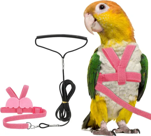 Miniatura 8 de Correa de arnés para pájaros, arnés ajustable para pájaros y loros para mascotas, ligera, antimordeduras, cuerda de entrenamiento de vuelo con linda