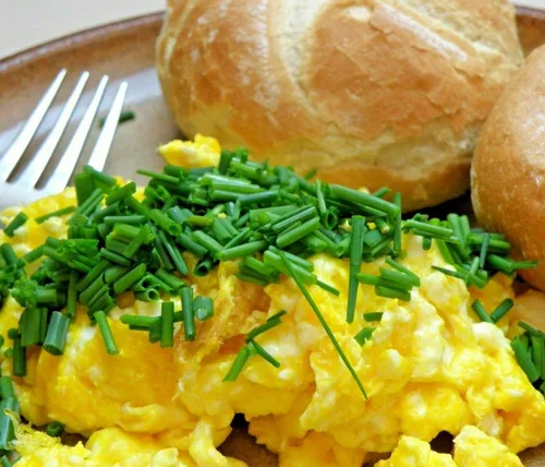 Bolsa de Mylar con absorbente de oxígeno para una larga vida útil, 70 porciones, huevos en polvo sin jaula, ¿por qué pagar más? Huevos más frescos,