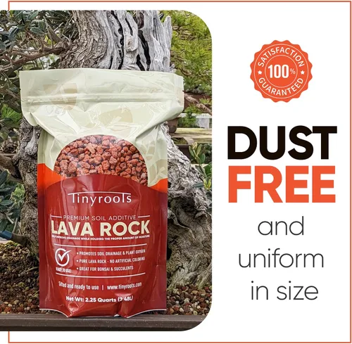 Miniatura 4 de Tinyroots - Roca de lava roja para plantas, 2.25 cuartos de galón, bonsái tamizado y aditivo para suelo de cactus, mantiene la humedad adecuada, se
