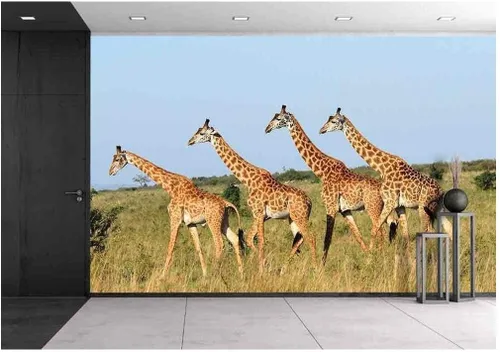 Miniatura 13 de wall26. Papel para empapelar autoadhesivo, grande, serie de mural., WMR-WP-X-C411-66x24x4