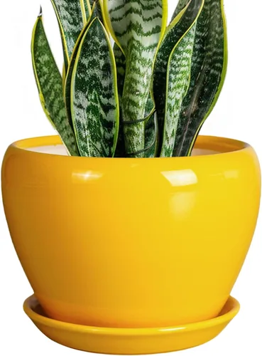 Miniatura 63 de Maceta de Cerámica Moderna con Esmalte para Suculentas con Agujero de Drenaje y Platillo, Maceta Redonda de 6 Pulgadas para Plantas de Flores