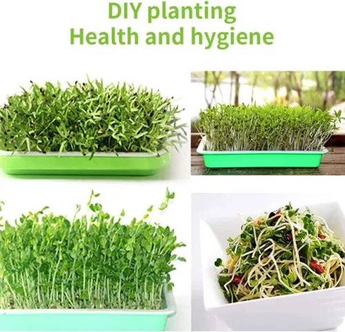 Miniatura 3 de Bandejas Plantas 200pcs Almohadillas de cultivo hidropónico Bandejas de inicio de papel Germinación brotes de jardín Propagador Set para cultivo sin