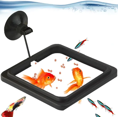 Miniatura 2 de SunGrow Anillo de alimentación de alimentos para peces, evita que las turbulencias del agua laven alimentos y plantas flotantes en el filtro