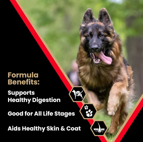 Miniatura 3 de VICTOR Super Premium Comida para Perros – Alimento seco para perros de alta energía para perros activos – Croquetas caninas sin gluten con proteínas