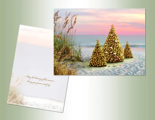 Performing Art - Tarjeta de Navidad de playa en caja con sobres, tarjeta de Navidad costera, interior a todo color, tarjetas de felicitación