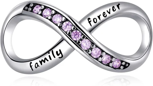 Annmors Family Charm Love your Dad Mon Sister Infinity Charm fits Bracelets 925 Sterling Silver-Lucky Charm for Woman Pendant Bead Jewelry Beads