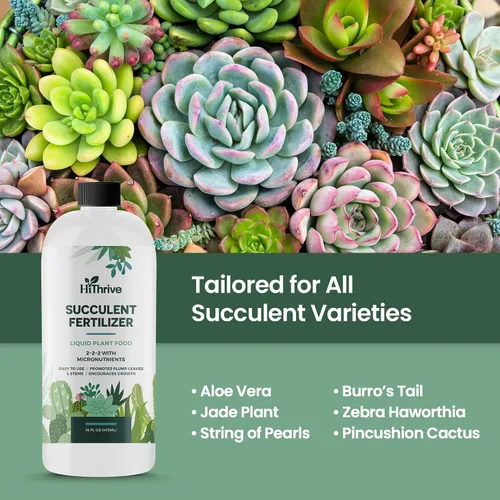 Miniatura 6 de Fertilizante para suculentas de 16 onzas, hace que 32 galones de alimento para plantas suculentas vivas, fertilizante líquido para suculentas