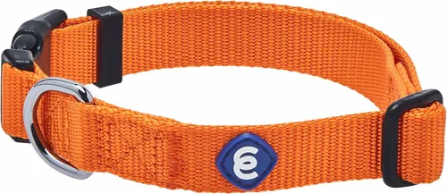 Miniatura 25 de Blueberry Pet Essentials - Collar ajustable para perro en turquesa Collares para perros medianos y grandes Nylon ecológico para cachorros machos