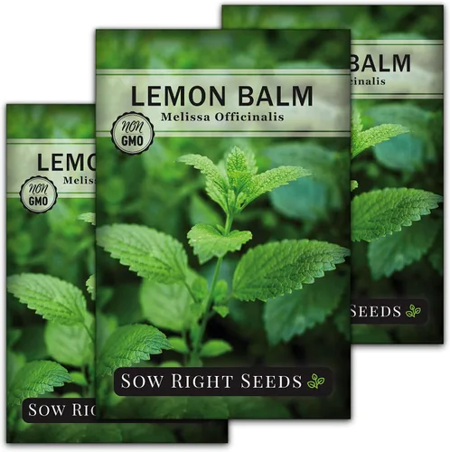 Sow Right Seeds - Semillas de bálsamo de limón para plantar - Paquete de reliquia sin OMG con instrucciones - Jardín de hierbas fácil de cultivar -