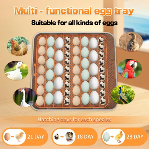 Miniatura 6 de HOWOOlUA - Incubadora de 56 huevos para incubar huevos con giro automático, control de temperatura y humedad, incubadora integrada de huevos de gran