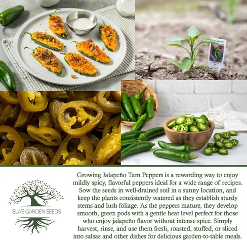 Miniatura 6 de Semillas de pimientos picantes Jalapeño Tam para plantar, más de 50 semillas tradicionales por paquete, semillas de jardín de Isla