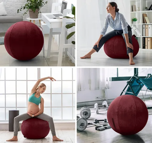 Miniatura 4 de Husband Pillow Exercise Ball, Cover with Pump for Yoga, Pilates, Fitness Balance Stability, Office Ball Chair Seat. Soft & Slip Resistant, Pro Guide