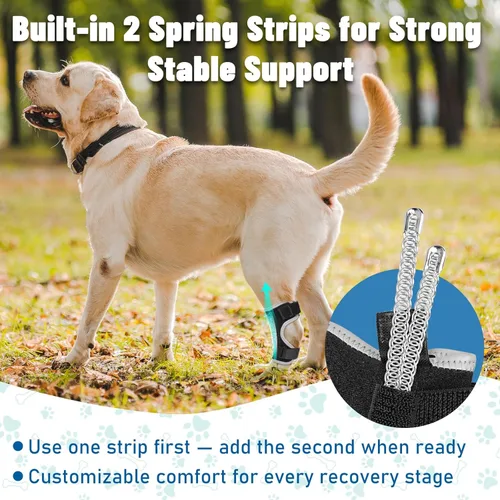 Miniatura 4 de Soportes para patas de perro para patas traseras y delanteras, soporte articular de perro y tobillo para patas traseras débiles con 2 tiras