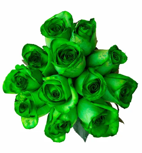 Miniatura 5 de Rosas arcoíris recién cortadas de Flower Explosion
