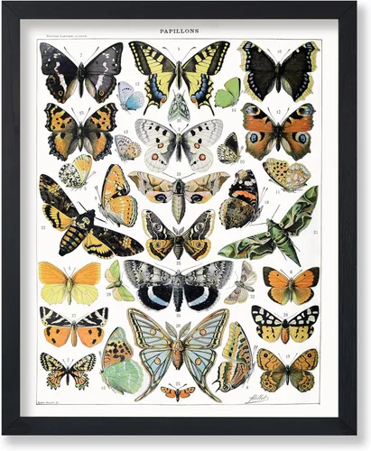 Miniatura 62 de Poster Master Póster vintage de miel, impresión retro de La Vie De L'Abeille, arte de panal de abeja, arte de pared de abeja, regalo para hombres