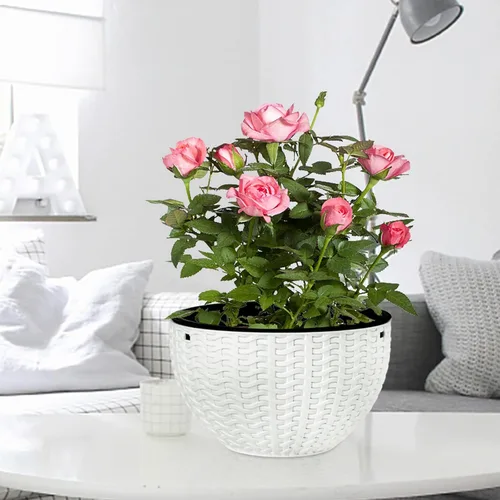 Miniatura 5 de Foraineam Paquete de 2 macetas dobles con diseño de macetas colgantes de riego automático para plantas y flores para interiores y exteriores
