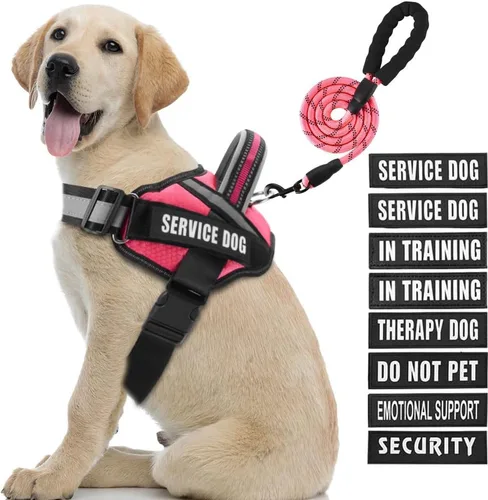 Miniatura 12 de Juego de arnés y correa para perro de servicio, arnés de entrenamiento para perro Animire con 10 parches para perros, correa reflectante para perro