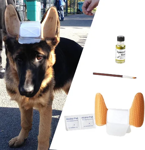 Miniatura 4 de MagiDeal 1 juego de calcomanías para orejas de cachorro, corrector de oído, kit de herramientas para el cuidado de los oídos, soporte para orejas