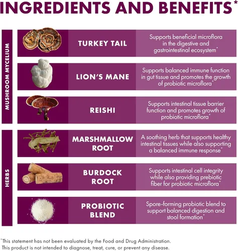 Miniatura 5 de Host Defense MycoBotanicals Microbiome* Powder - Suplemento de apoyo a la salud digestiva e inmunológica - Suplemento de salud intestinal con cola
