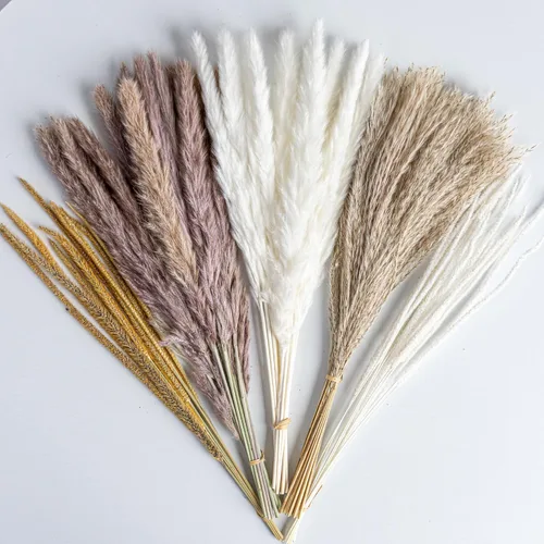 70 UNIDADES Hierba de Pampa Seca Natural Estilo Boho para Decoración del Hogar Ramo de Phragmites Flores Secas para Arreglos Florales de Boda