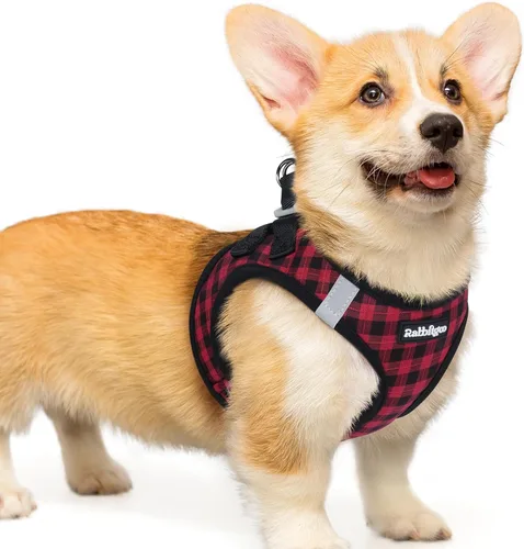 Miniatura 50 de rabbitgoo Arnés para perro pequeño, chaleco de malla suave para cachorros con hebilla de seguridad, arnés reflectante transpirable para mascotas