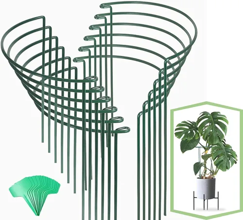 Joyhalo Paquete de 12 estacas de soporte para plantas, estacas de 16 pulgadas para plantas al aire libre, jaulas y soportes de peonía, jaula de