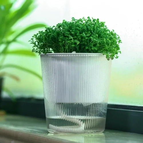 Miniatura 3 de Pack de 6 Macetas de 11.4 cm de Riego Automático y Transparentes para Plantas de Interior, Macetas de Plástico con Mecha para Orquídeas Medianas