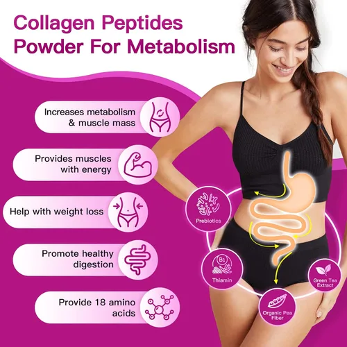 Miniatura 8 de ZEBORA Polvo de péptidos de colágeno múltiple – Colágeno hidrolizado tipo I II III V X con ácido hialurónico, vitamina C, MCT, probióticos – Apoya