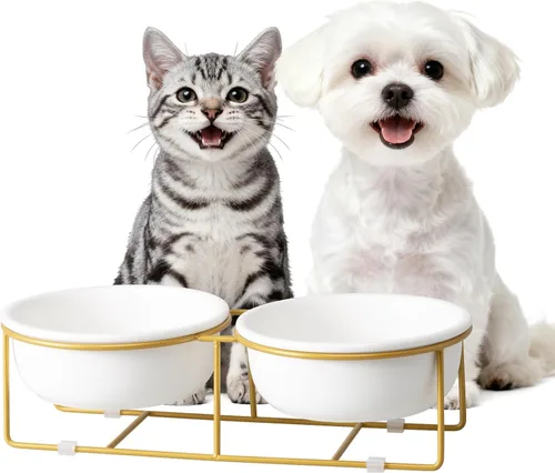 Miniatura 10 de Cuenco elevado elevado de cerámica blanca para gatos y perros, plato elevado para comida para gatos, cuenco de agua para mascotas, cómodo y cómodo