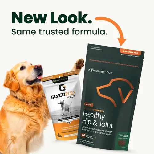 Miniatura 2 de VetriScience Suplemento Ultimate Strength para cadera y articulaciones para perros, GlycoFlex Plus - MSM, condroitina y mejillón de labios verdes
