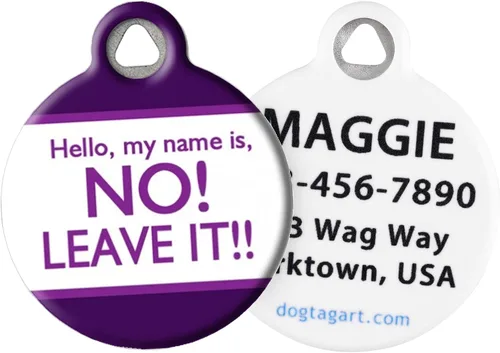 Miniatura 2 de Etiqueta de identificación personalizada con texto en inglés «Hello My Name» para perros y gatos, etiqueta de identificación personalizada