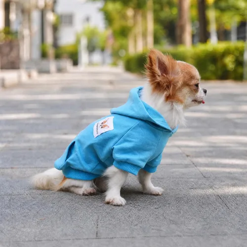 Miniatura 6 de LOPHIPETS Sudaderas con capucha de algodón para perros pequeños, chihuahua, ropa para cachorros, abrigo para clima frío, color azul Cambridge