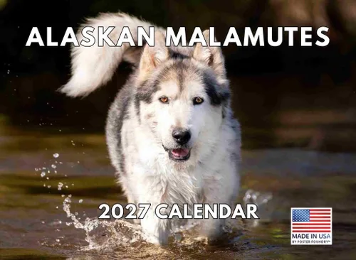 Miniatura 187 de Calendario de pared mensual 2025 Great Dane de 12 meses, fabricado en Estados Unidos